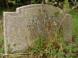 image of grave number 170725